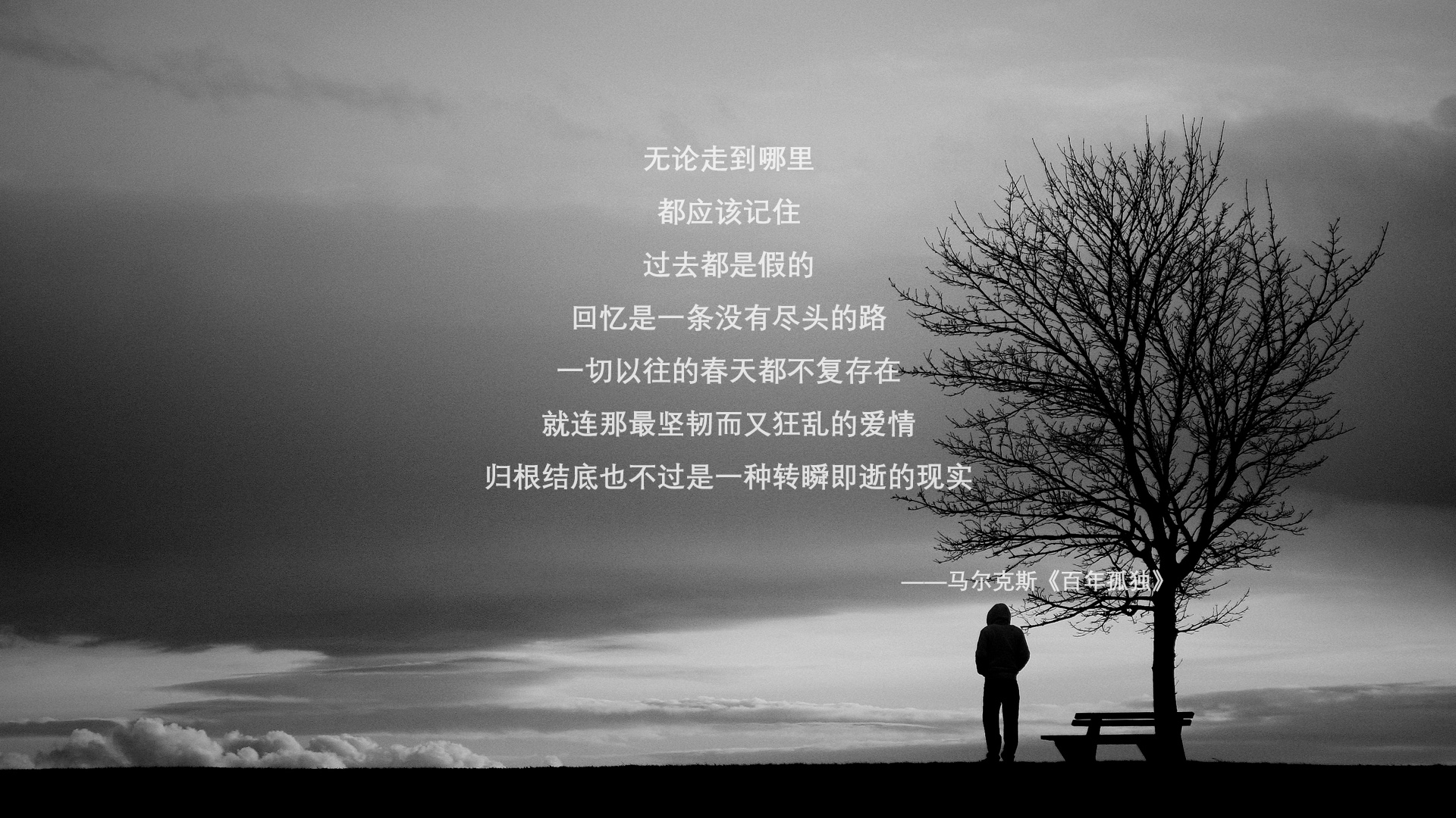 “明星阵容全员到场，庆典与比赛完美结合”，明星阵容什么意思