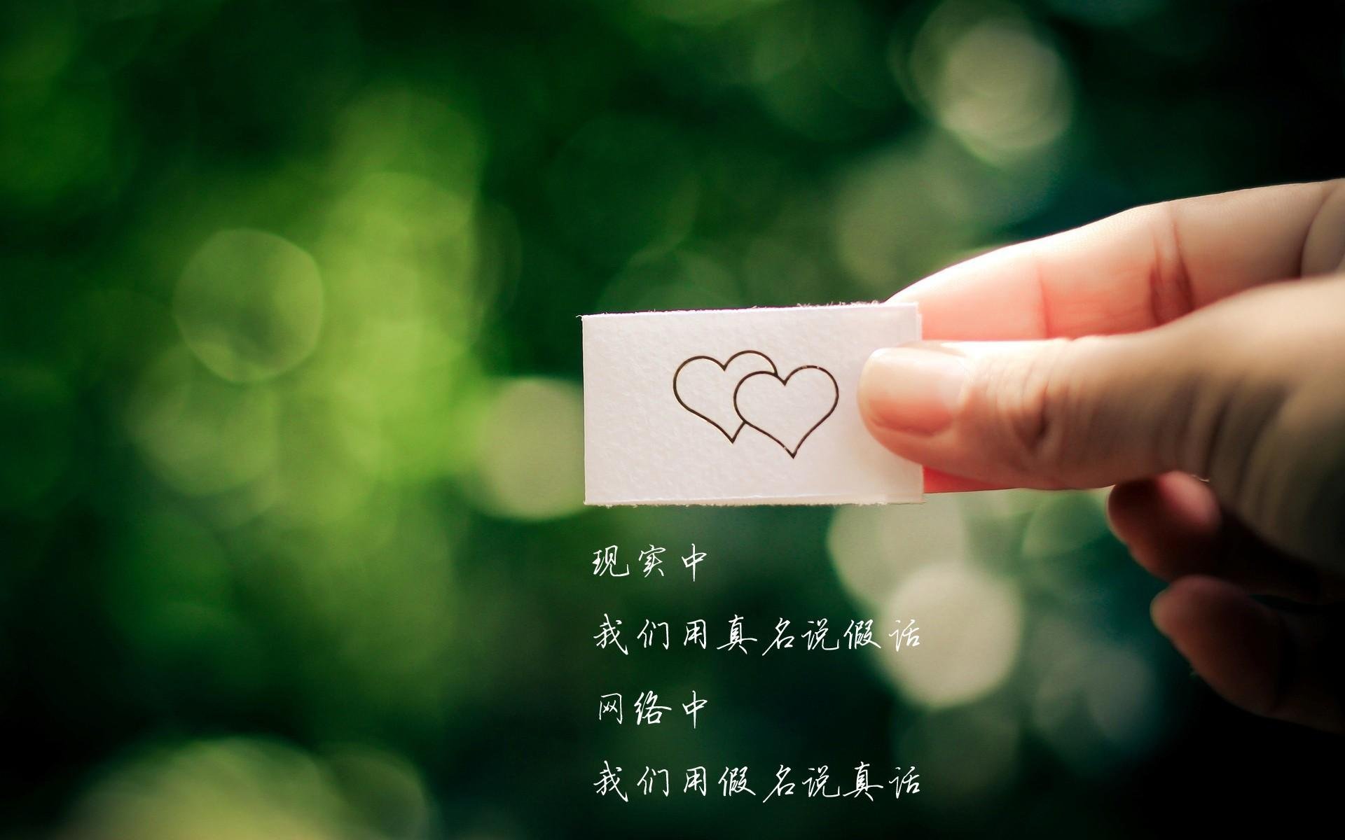 避难所体育节：灾难中的坚持与希望