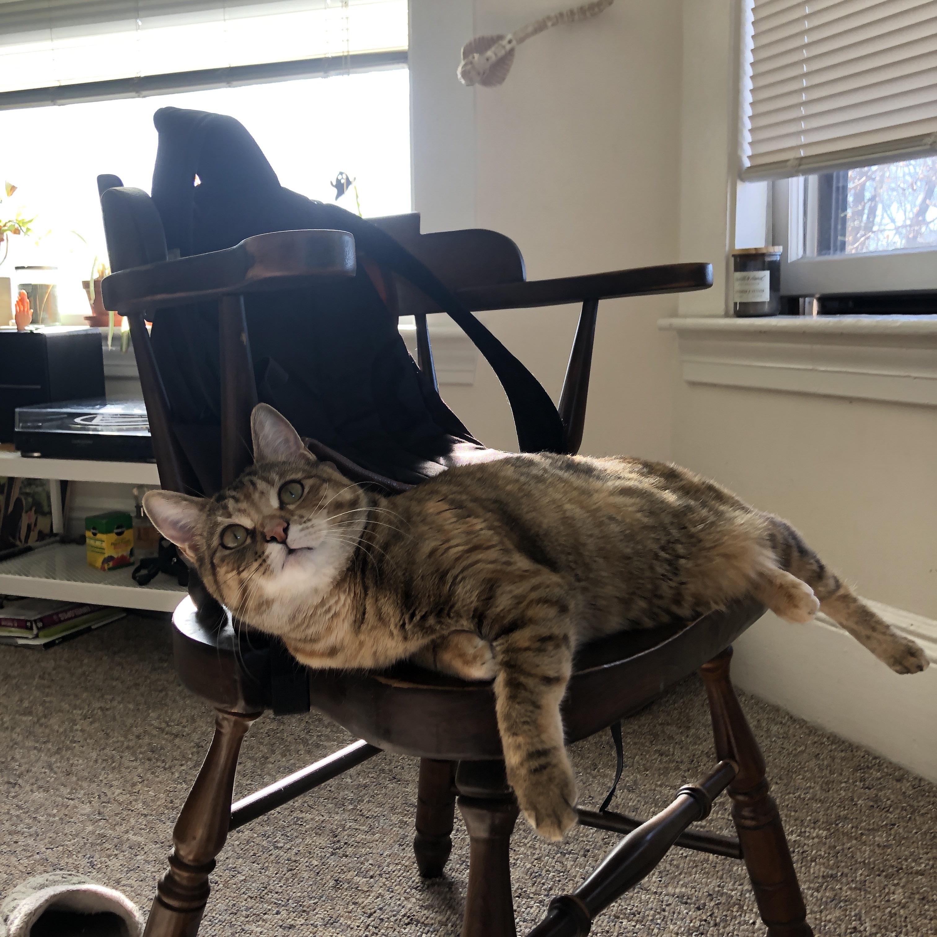 传奇门将复出振奋球队，英超保级形势乐观，现役传奇门将