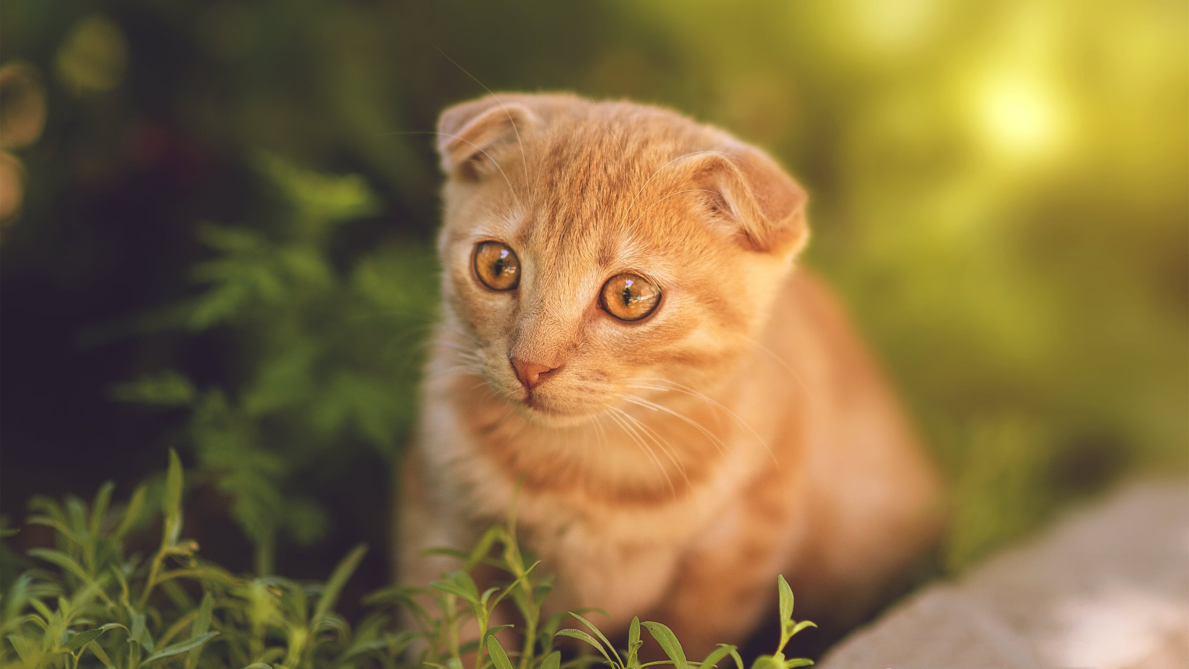 kaiyun sports safe-克鲁阵容年轻有活力，铁路军团逐步崛起，克鲁尔cs