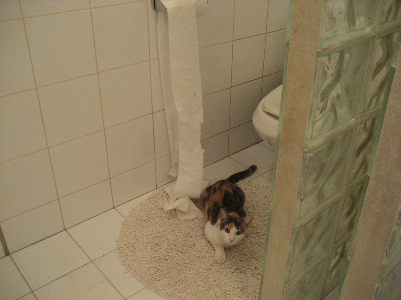 凯撒酋长与赞比亚俱乐部达成友谊赛协议,赞比亚联赛