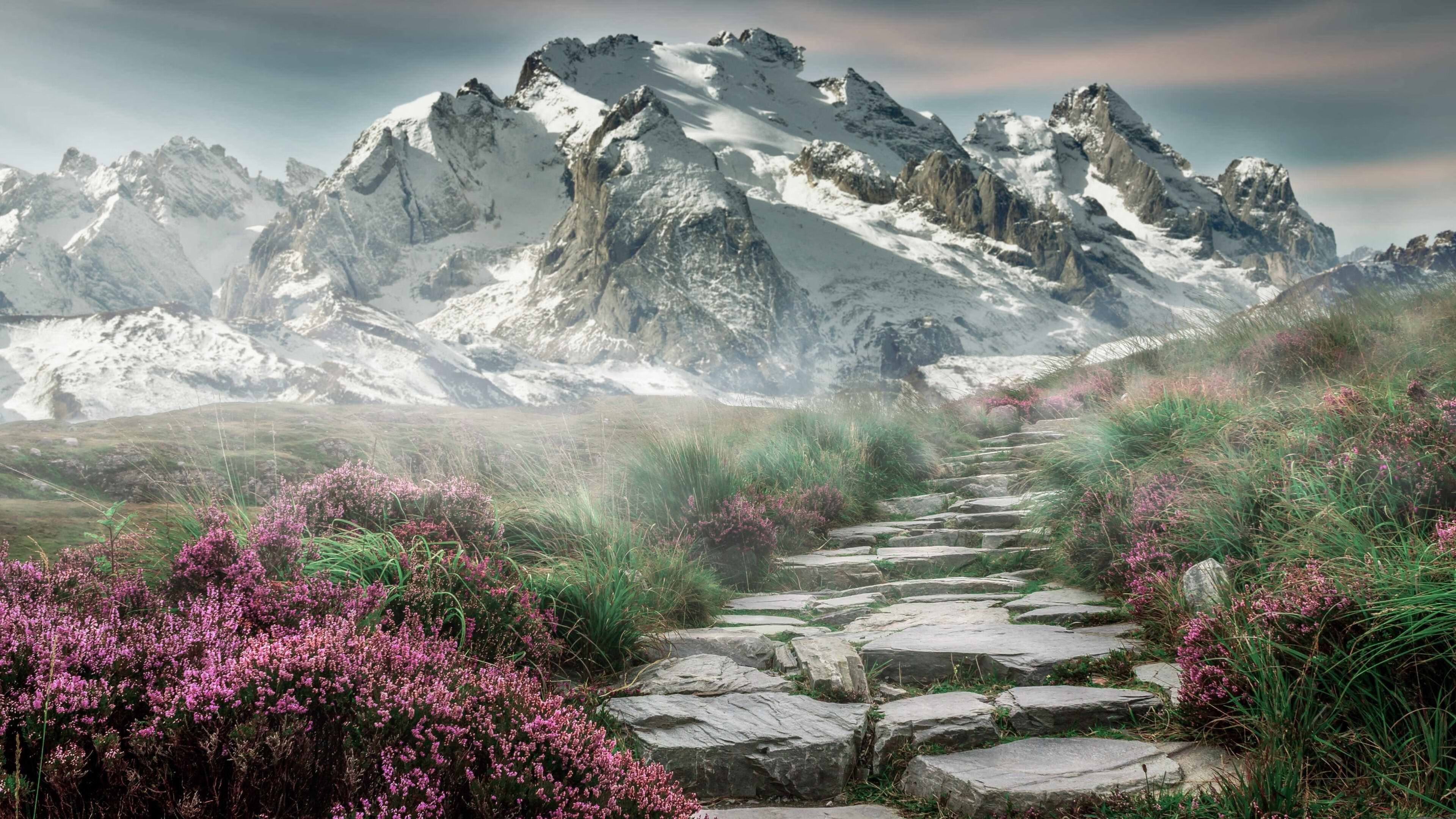 利雅得新月豪取十连胜领跑积分榜，利雅得新月阵容豪华