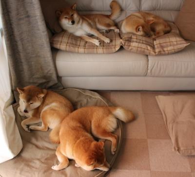 奥萨苏纳主场不敌，惨遭对手绝杀，奥萨苏纳ds