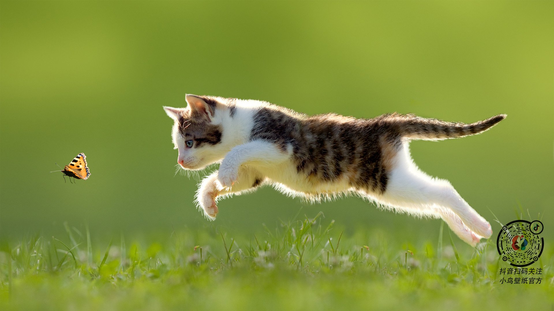 太阳队客场失利，湖人队主场全力击败对手，湖人队太阳谁赢