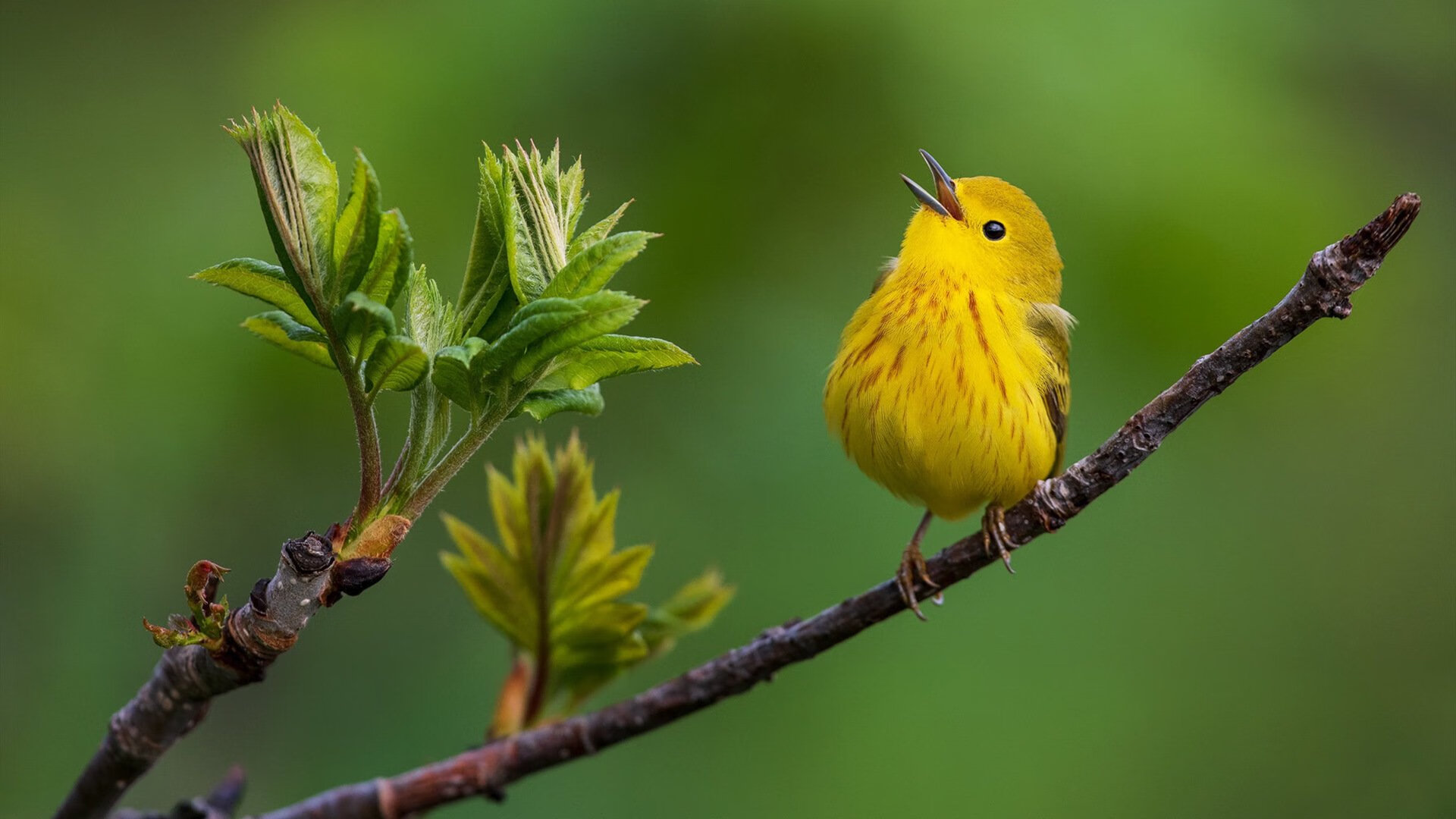 广东宏远球队比赛心态保持稳定，广东宏远队有什么新闻