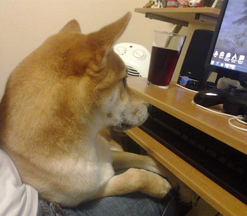 中小学体育教师专业发展支持策略，中小学体育教师专业发展支持策略研究