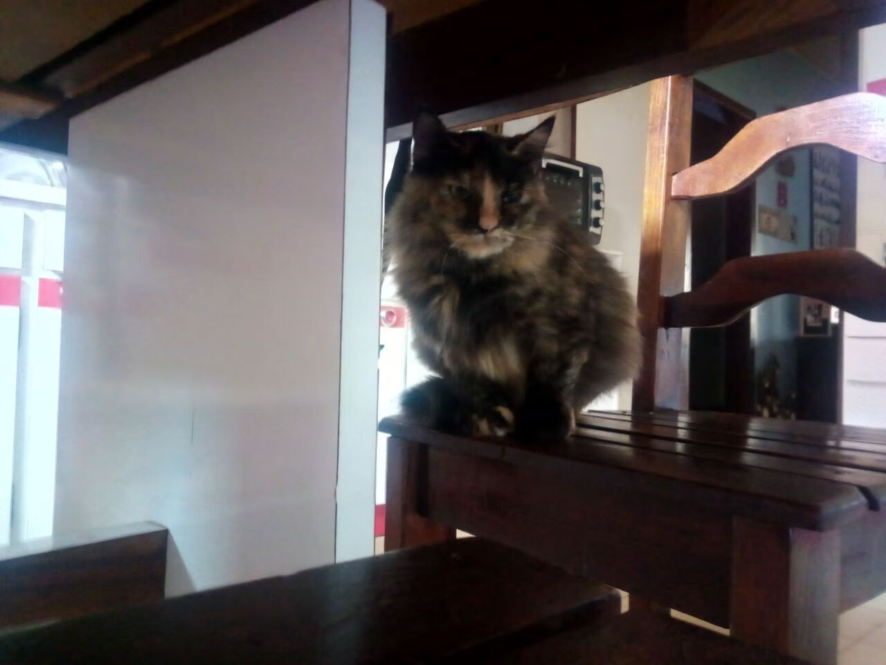 开云体育首页-世界围棋赛推广活动走进多语种社群，围棋世界大赛讲解